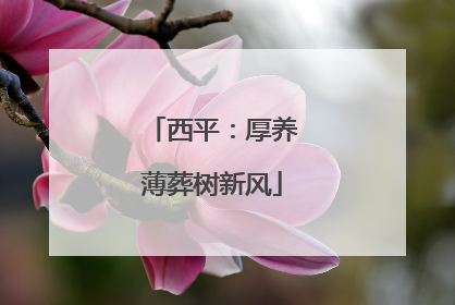 西平：厚养薄葬树新风