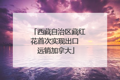 西藏自治区藏红花首次实现出口 远销加拿大