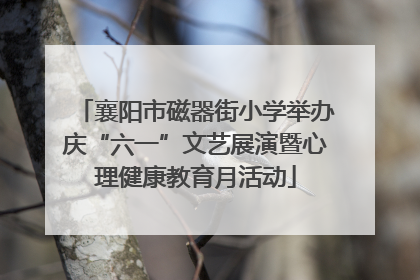 襄阳市磁器街小学举办庆“六一”文艺展演暨心理健康教育月活动