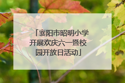 襄阳市昭明小学开展欢庆六一暨校园开放日活动