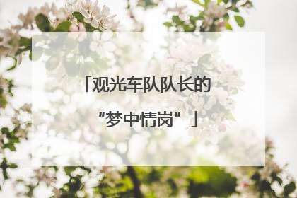 观光车队队长的“梦中情岗”