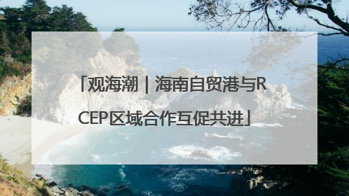 观海潮｜海南自贸港与RCEP区域合作互促共进