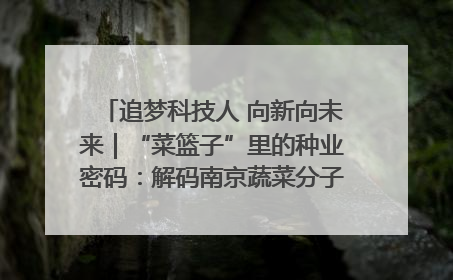 追梦科技人 向新向未来｜“菜篮子”里的种业密码：解码南京蔬菜分子育种的创新之路