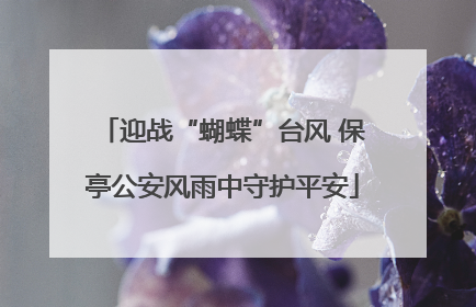 迎战“蝴蝶”台风 保亭公安风雨中守护平安