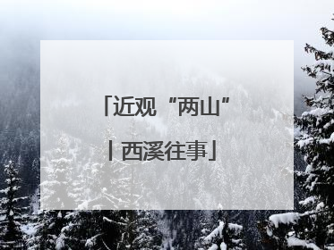 近观“两山”丨西溪往事