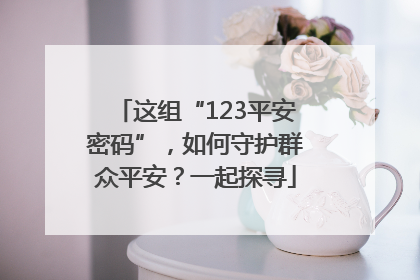 这组“123平安密码”，如何守护群众平安？一起探寻