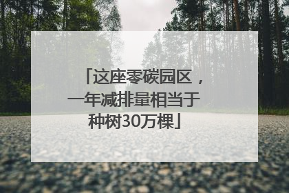 这座零碳园区，一年减排量相当于种树30万棵