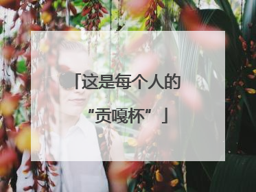 这是每个人的“贡嘎杯”