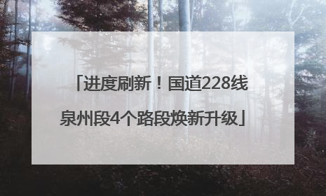 进度刷新！国道228线泉州段4个路段焕新升级