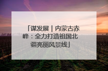 谋发展｜内蒙古赤峰：全力打造祖国北疆亮丽风景线