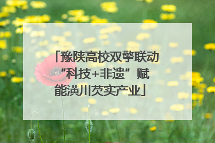 豫陕高校双擎联动 “科技+非遗”赋能潢川芡实产业