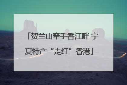贺兰山牵手香江畔 宁夏特产“走红”香港