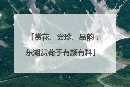 赏花、尝珍、品韵，东湖赏荷季有颜有料