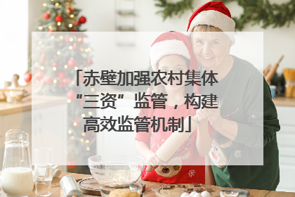 赤壁加强农村集体“三资”监管，构建高效监管机制