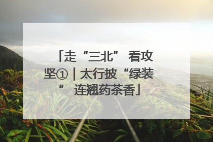 走“三北” 看攻坚①｜太行披“绿装” 连翘药茶香
