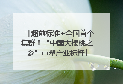 超前标准+全国首个集群！“中国大樱桃之乡”重塑产业标杆
