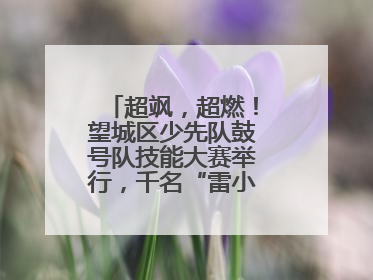 超飒，超燃！望城区少先队鼓号队技能大赛举行，千名“雷小锋”风采闪耀
