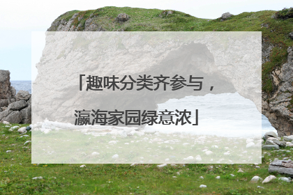 趣味分类齐参与，瀛海家园绿意浓