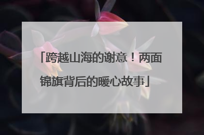 跨越山海的谢意！两面锦旗背后的暖心故事