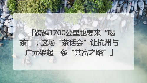 跨越1700公里也要来“喝茶”，这场“茶话会”让杭州与广元架起一条“共富之路”