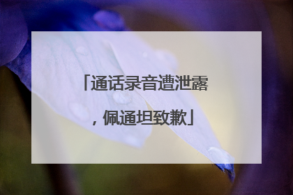 通话录音遭泄露，佩通坦致歉