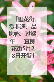 逛花街、赏非遗、品烤鸭、过端午……宜良花街5月28日开街