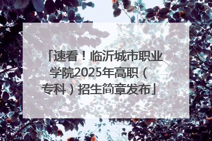速看！临沂城市职业学院2025年高职（专科）招生简章发布