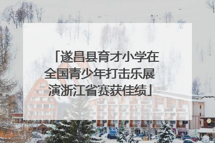 遂昌县育才小学在全国青少年打击乐展演浙江省赛获佳绩