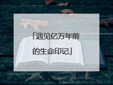 遇见亿万年前的生命印记