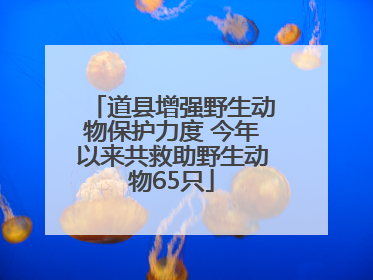 道县增强野生动物保护力度 今年以来共救助野生动物65只