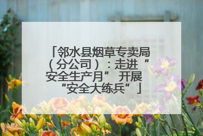 邻水县烟草专卖局（分公司）：走进“安全生产月” 开展“安全大练兵”