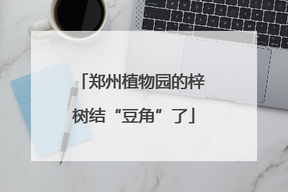 郑州植物园的梓树结“豆角”了