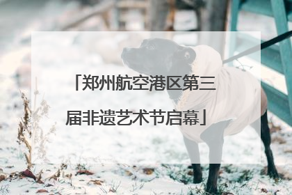 郑州航空港区第三届非遗艺术节启幕