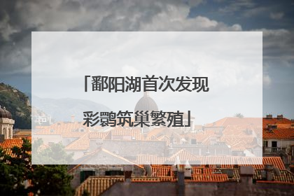 鄱阳湖首次发现彩鹮筑巢繁殖