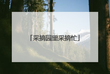 采摘园里采摘忙