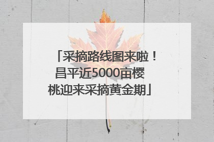 采摘路线图来啦！昌平近5000亩樱桃迎来采摘黄金期