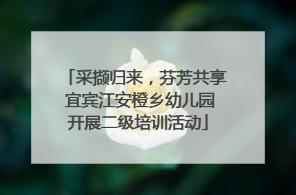 采撷归来，芬芳共享 宜宾江安橙乡幼儿园开展二级培训活动