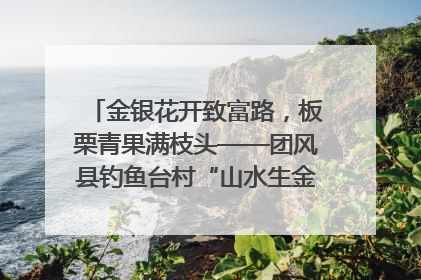 金银花开致富路，板栗青果满枝头——团风县钓鱼台村“山水生金”谱写共富新篇章