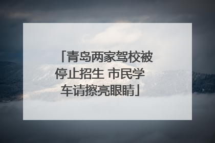 青岛两家驾校被停止招生 市民学车请擦亮眼睛
