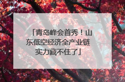 青岛峰会首秀！山东低空经济全产业链实力藏不住了