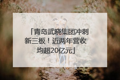 青岛武晓集团冲刺新三板！近两年营收均超20亿元