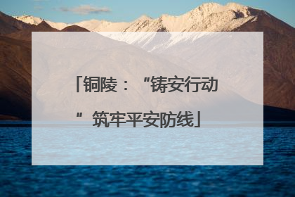铜陵：“铸安行动”筑牢平安防线