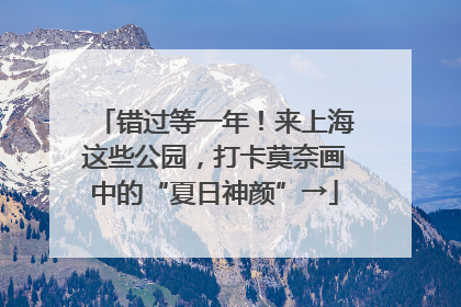错过等一年！来上海这些公园，打卡莫奈画中的“夏日神颜”→
