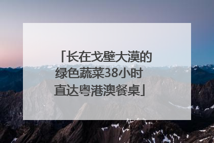 长在戈壁大漠的绿色蔬菜38小时直达粤港澳餐桌
