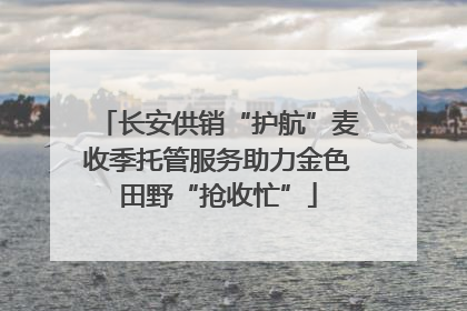 长安供销“护航”麦收季托管服务助力金色田野“抢收忙”