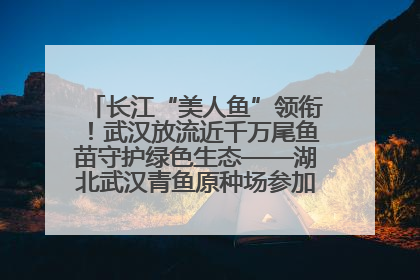 长江“美人鱼”领衔！武汉放流近千万尾鱼苗守护绿色生态——湖北武汉青鱼原种场参加2025年“全国放鱼日”增殖放流活动