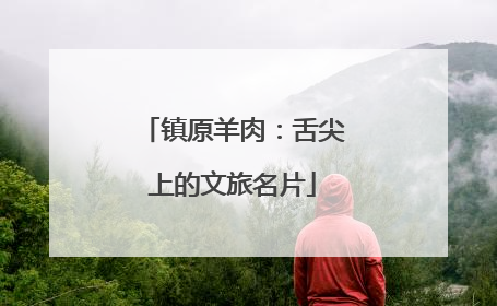镇原羊肉：舌尖上的文旅名片