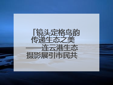 镜头定格鸟韵 传递生态之美——连云港生态摄影展引市民共赏自然之魅