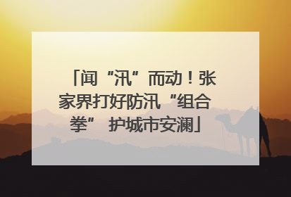 闻“汛”而动！张家界打好防汛“组合拳” 护城市安澜