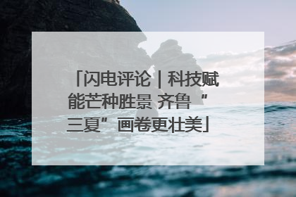 闪电评论｜科技赋能芒种胜景 齐鲁“三夏”画卷更壮美